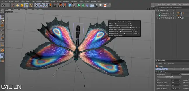C4D蝴蝶模型（Xpresso绑定） fully rigged C4D Xpresso butterfly rig - C4D之家 - forum-201503-23-110333k2ur74ccdrzevfqf.jpg
