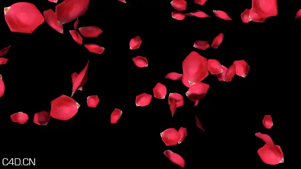 情人节礼物：满天飘舞的玫瑰花瓣C4D工程 Rose Petals 3d model - C4D之家 - forum-201502-14-212613p024l3i2z3s0i00d.png