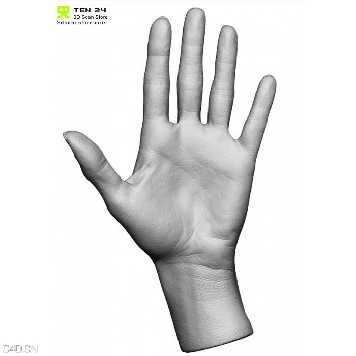 男性女性高精3D模型 3D Scan Store Male and Female Base Mesh Bundle - C4D之家 - c3a604cbc7f61af3b2080d6668221a3d.jpg