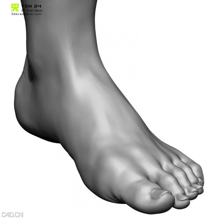 男性女性高精3D模型 3D Scan Store Male and Female Base Mesh Bundle - C4D之家 - c646929ffd074d142341664d6b6586c2.jpg