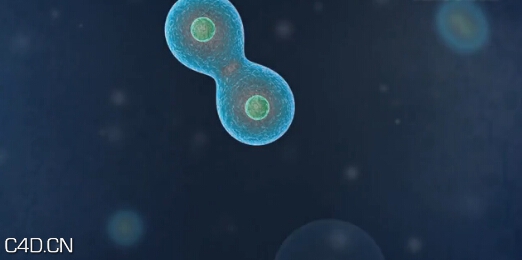 C4D中文案例细胞分裂动画教程(含C4D工程)