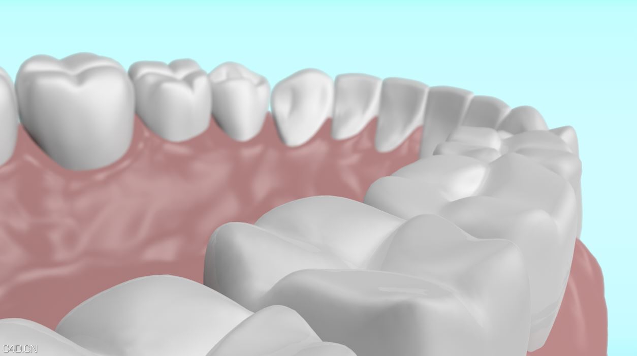 c4d 牙齿模型 - C4D之家 - 3.JPG