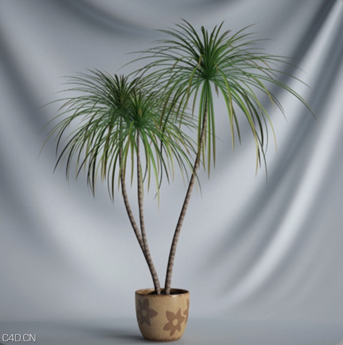 景观盆景植物C4D模型 Potted plant - C4D之家 - cinema4d_ 2015-12-03 15.15.52.jpg