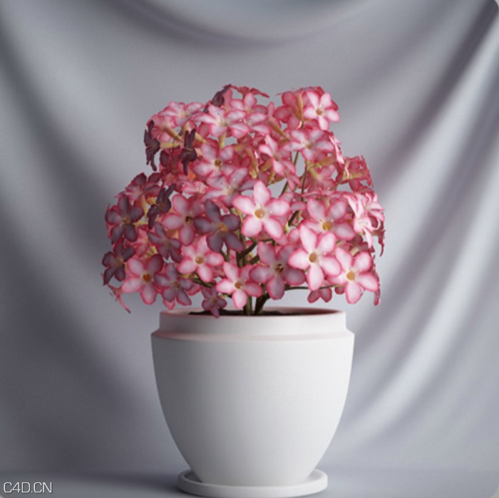 粉红色小花盆景C4D模型 Bonsai flowers - C4D之家 - cinema4d_ 2015-12-03 15.17.54.jpg