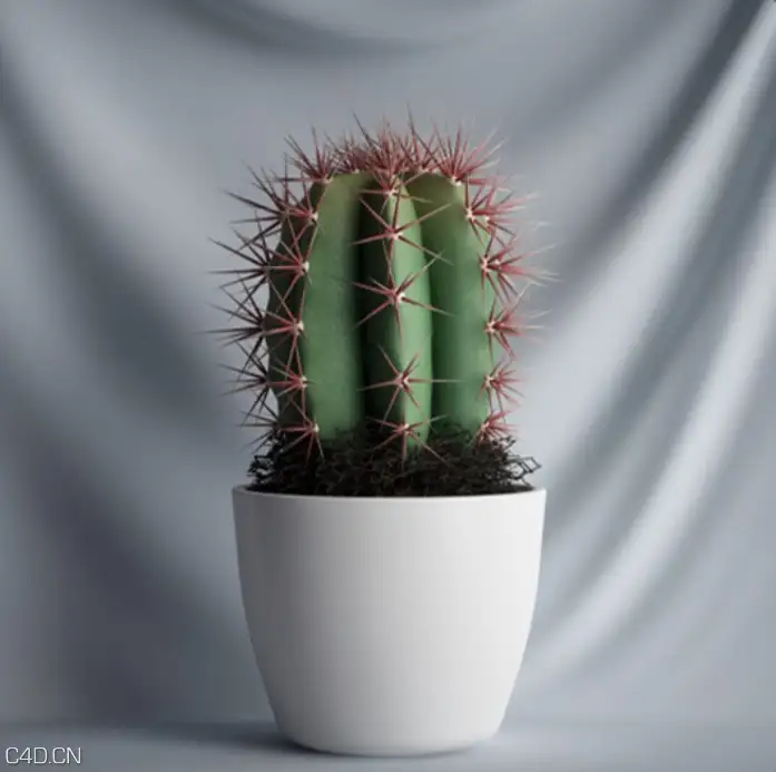 室内景观植物：仙人球C4D模型 Cactus - C4D之家 - cinema4d_ 2015-12-03 15.27.36.jpg