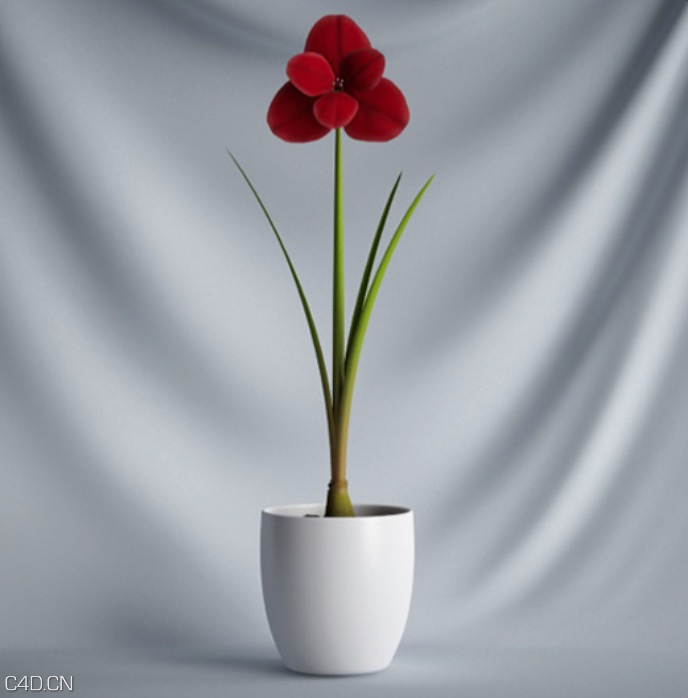 办公室装饰盆景花卉：红色小花C4D模型 Bonsai flowers - C4D之家 - cinema4d_ 2015-12-03 15.31.15.jpg