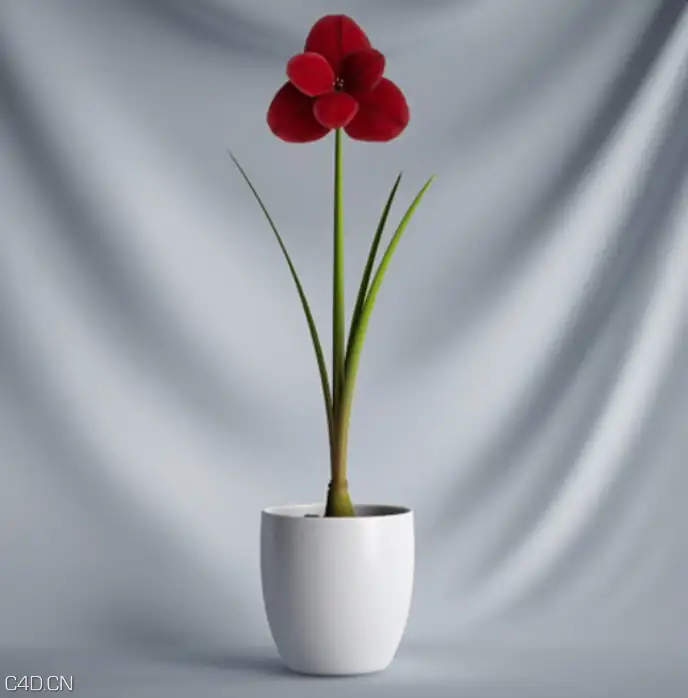 办公室装饰盆景花卉：红色小花C4D模型 Bonsai flowers - C4D之家 - cinema4d_ 2015-12-03 15.31.15.jpg