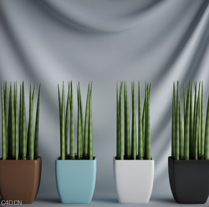 绿色植物盆景C4D模型 Green plant bonsai