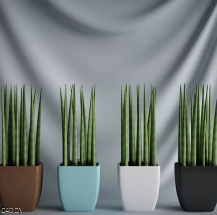 绿色植物盆景C4D模型 Green plant bonsai