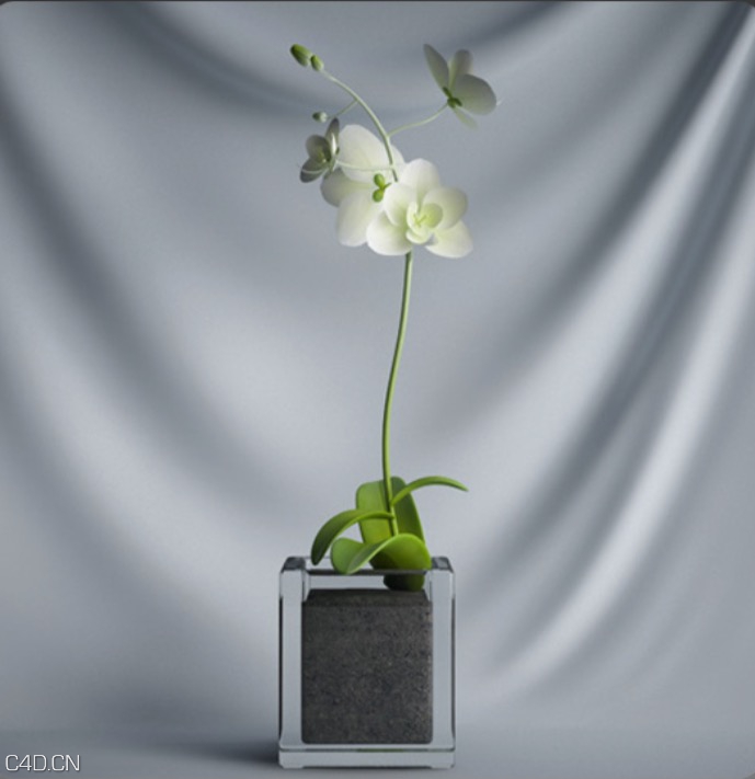 室内装饰花卉盆景C4D模型 Ornamental plant bonsai - C4D之家 - cinema4d_ 2015-12-03 21.40.20.jpg