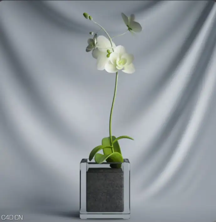 室内装饰花卉盆景C4D模型 Ornamental plant bonsai - C4D之家 - cinema4d_ 2015-12-03 21.40.20.jpg