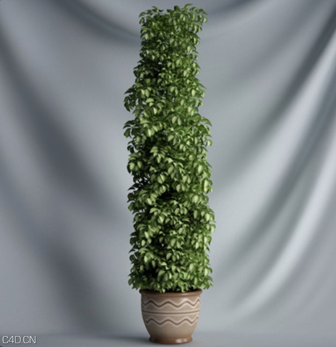 绿色景观盆景植物C4D模型 Landscape plant bonsai - C4D之家 - cinema4d_ 2015-12-03 22.05.37.jpg