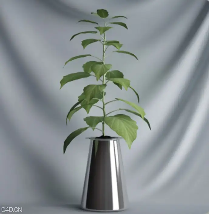 绿色植物盆景C4D模型 Green plant bonsai