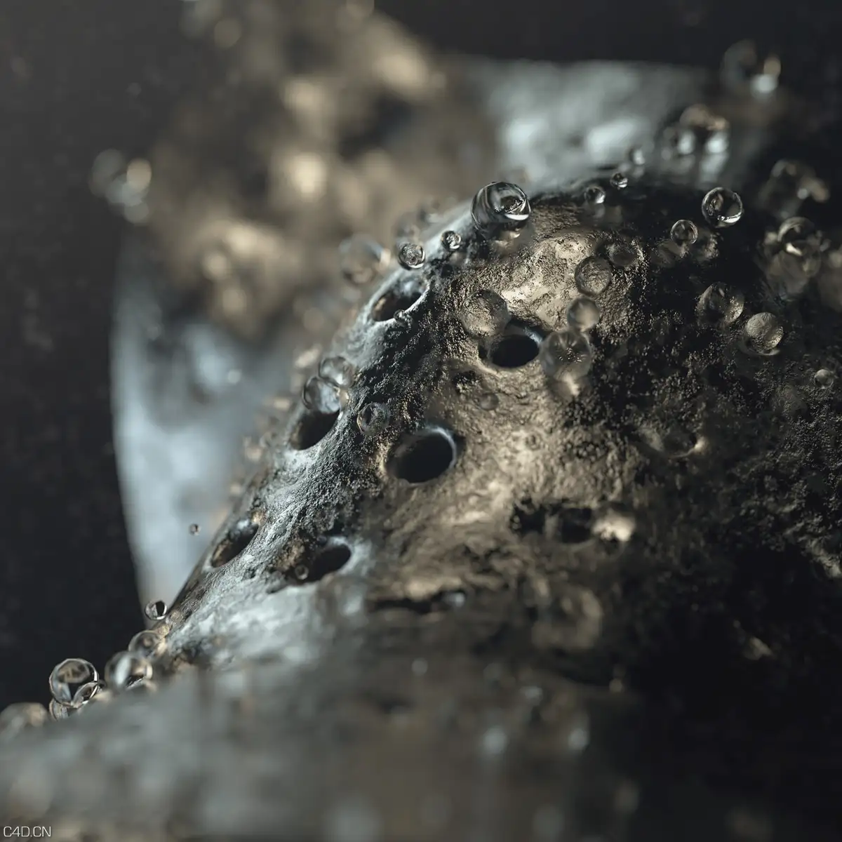 一组国外C4D质感惊人的作品欣赏（之三） Progress Before Perfection - August 2015 - C4D之家 - a94d1529974585.560ceedfa5088.jpg