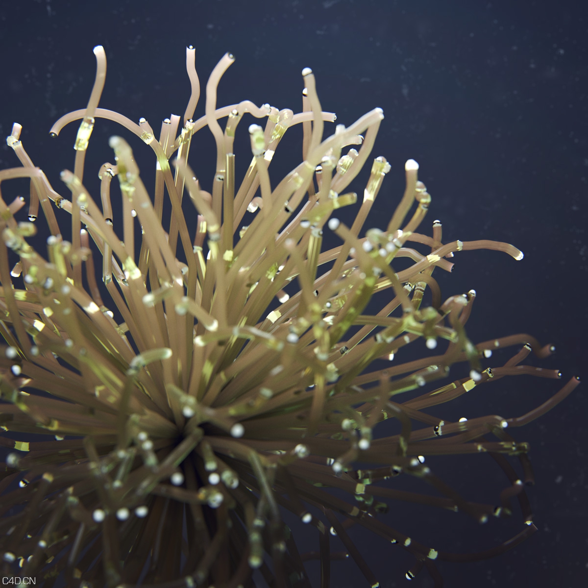 让人震憾的C4D创意作品（第2弹）：Progress Before Perfection - July 2015 - C4D之家 - 32668f27741975.5636a0e1bd67d.jpg