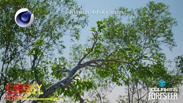 C4D插件：森林岩石植物树木生长动画插件3DQUAKERS Forester for Cinema 4D R14-R17 - C4D之家 - 3DQUAKERS Forester for Cinema 4D R17.JPG