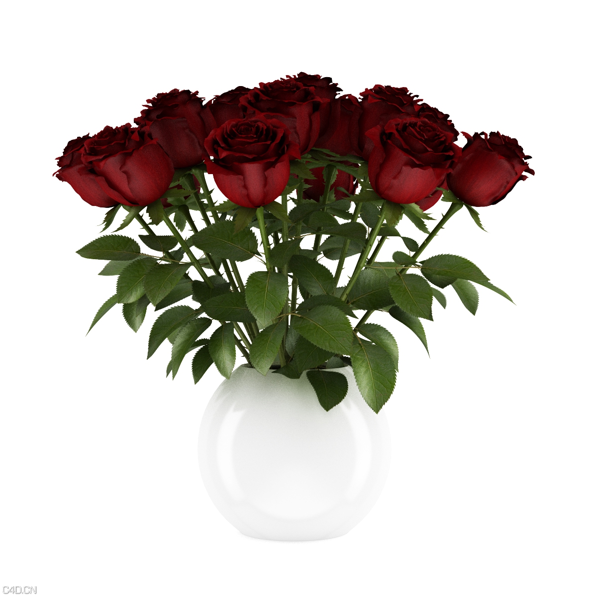 一瓶红玫瑰C4D模型 3D RED ROSES - C4D之家 - cgaxis_models_21_13a.jpg