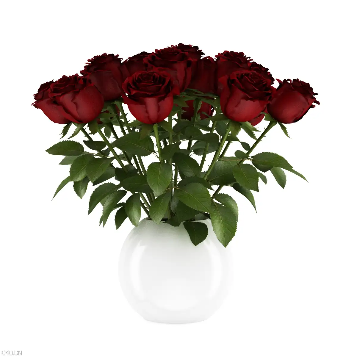 一瓶红玫瑰C4D模型 3D RED ROSES - C4D之家 - cgaxis_models_21_13a.jpg