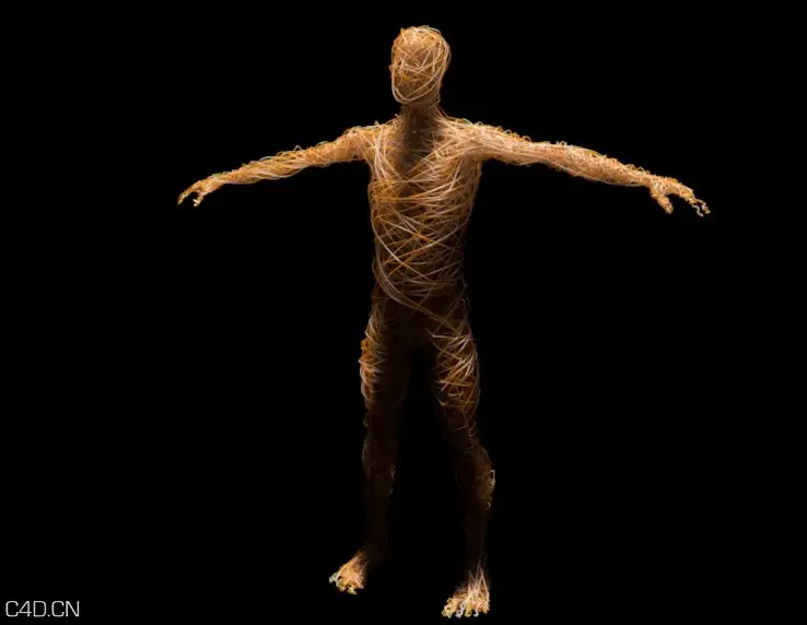 人体编织C4D工程文件 Human body weave