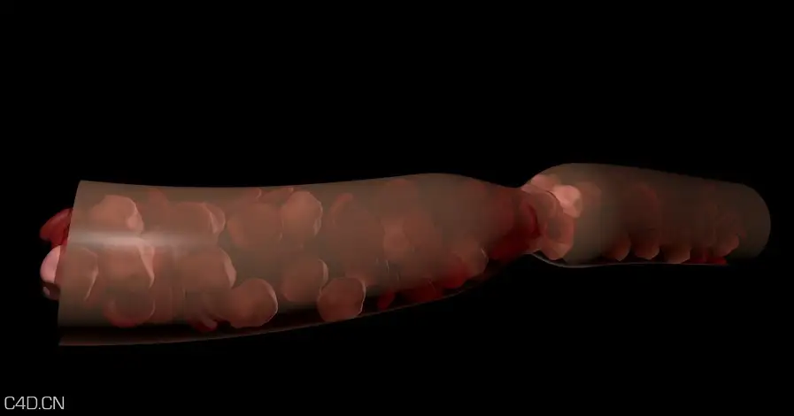血液流动C4D动画工程 blood flow