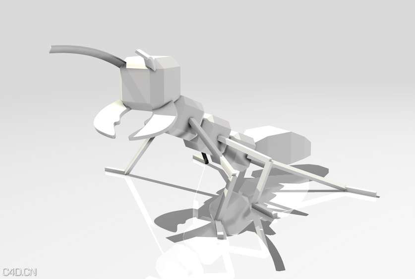 低面多边形蚂蚁、卡通蚂蚁C4D动画工程 ants