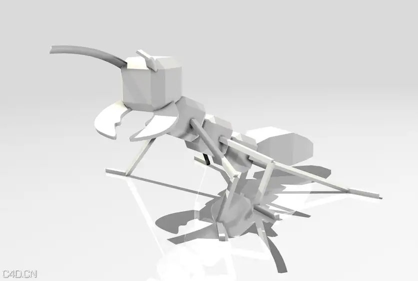 低面多边形蚂蚁、卡通蚂蚁C4D动画工程 ants - C4D之家 - cinema4d_ 2015-12-24 00.29.45.jpg