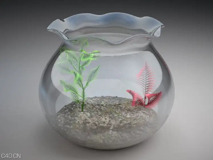 圆肚鱼缸C4D模型 Fish tank