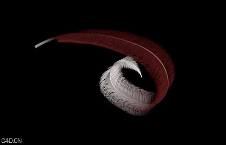C4D羽毛预设工程文件 feather modeling