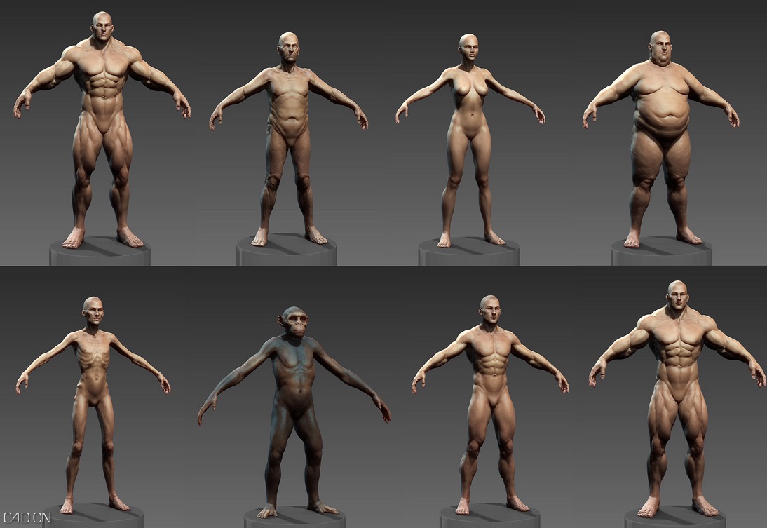 ZB雕刻人体模型 Human ZBuilder for Zbrush - C4D之家 - cinema4d_ 2015-12-31 21.50.49.jpg