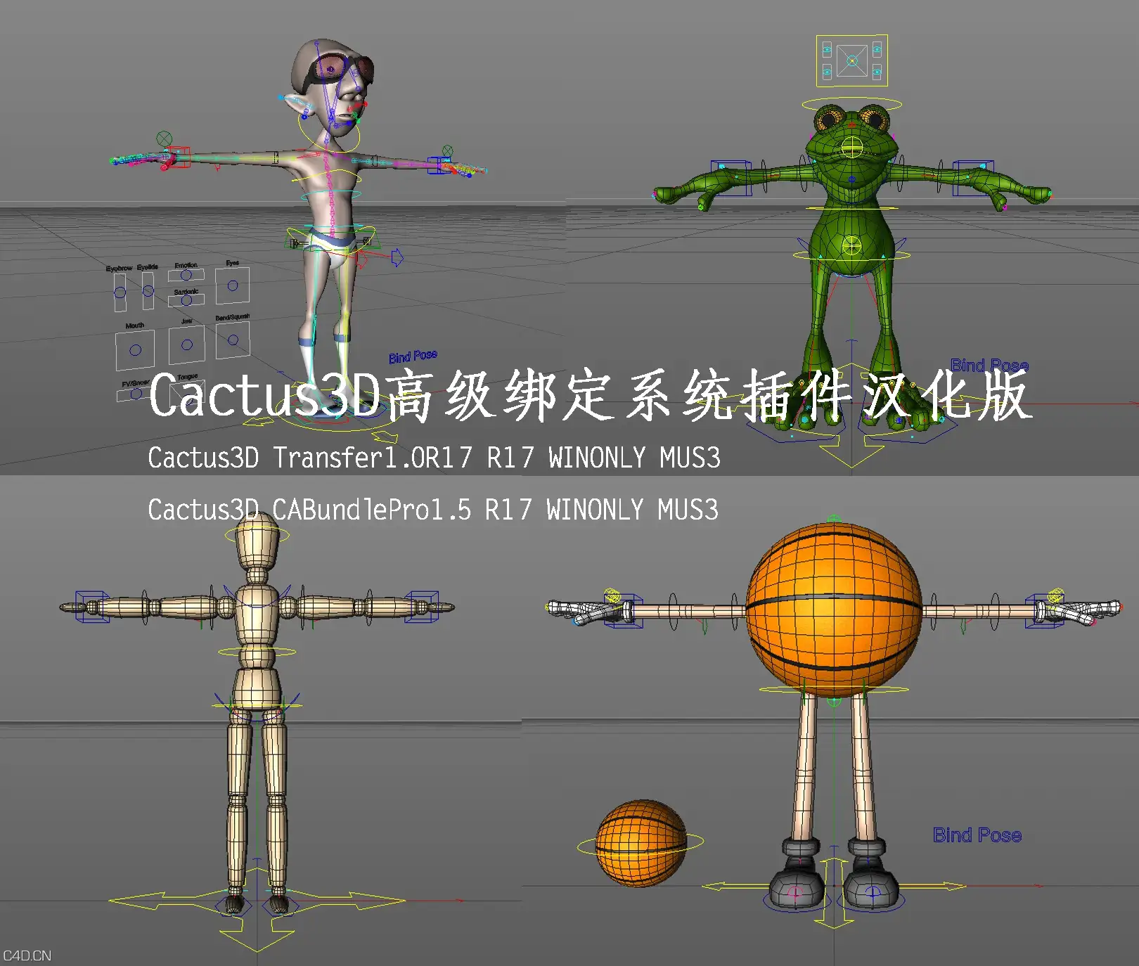C4D实用进阶绑定系统插件汉化版 Cactus3D CD Character Bundle/CD Transfer Tools
