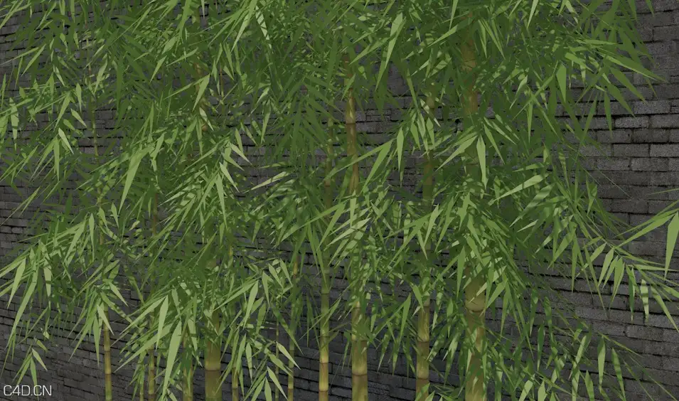 竹子、竹林C4D模型 Bamboo 3d model