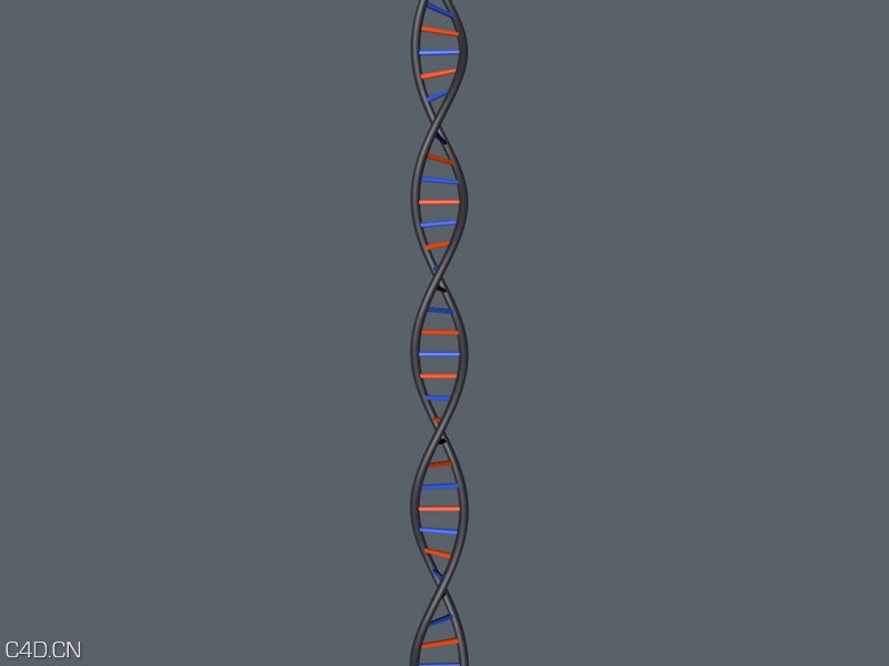 GSG灰猩猩中文音译教程第四期：使用C4D建立一个DNA模型 - C4D之家 - render1.jpg
