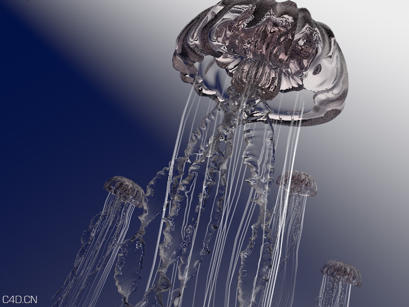 水母C4D模型 jellyfish - C4D之家 - 水母.jpg