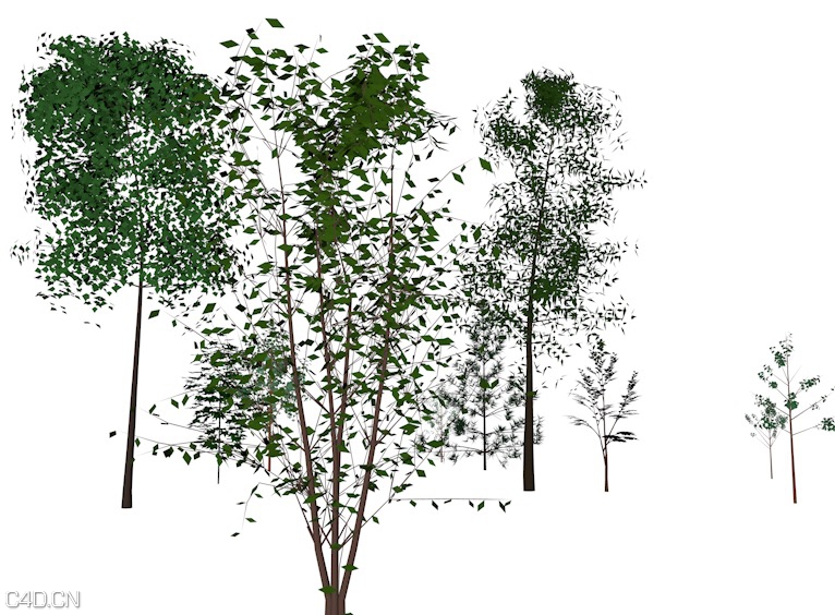 低面树木C4D模型 Trees Saplings low-poly 3d model