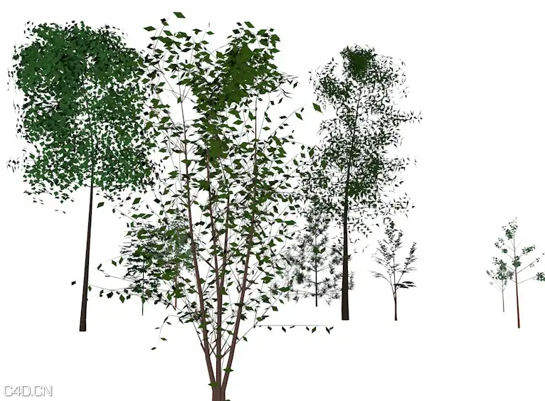 低面树木C4D模型 Trees Saplings low-poly 3d model