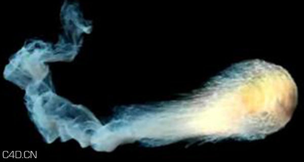 cinema4D 粒子加速插件 - C4D之家 - e.jpg