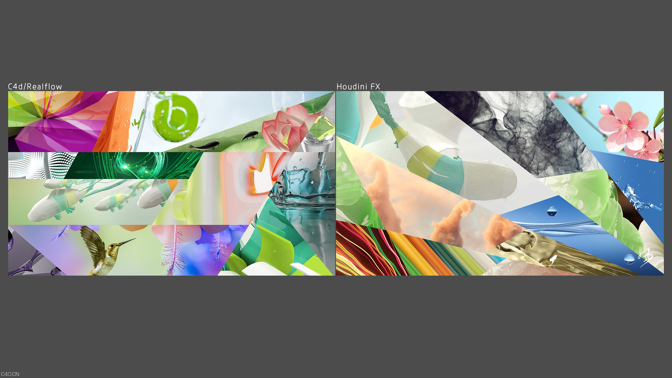 c4d realflow houdini - C4D之家 - 05.jpg