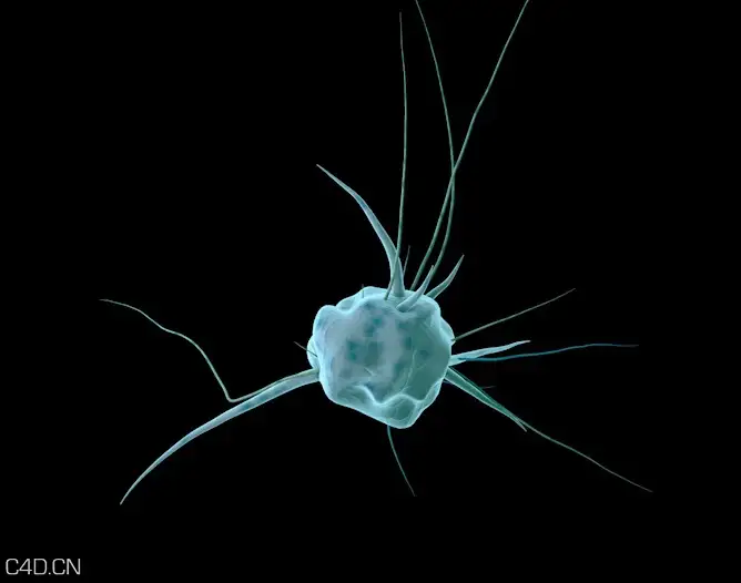 C4D微生物触须生长动画工程文件 Microbial C4D whisker growth animation project