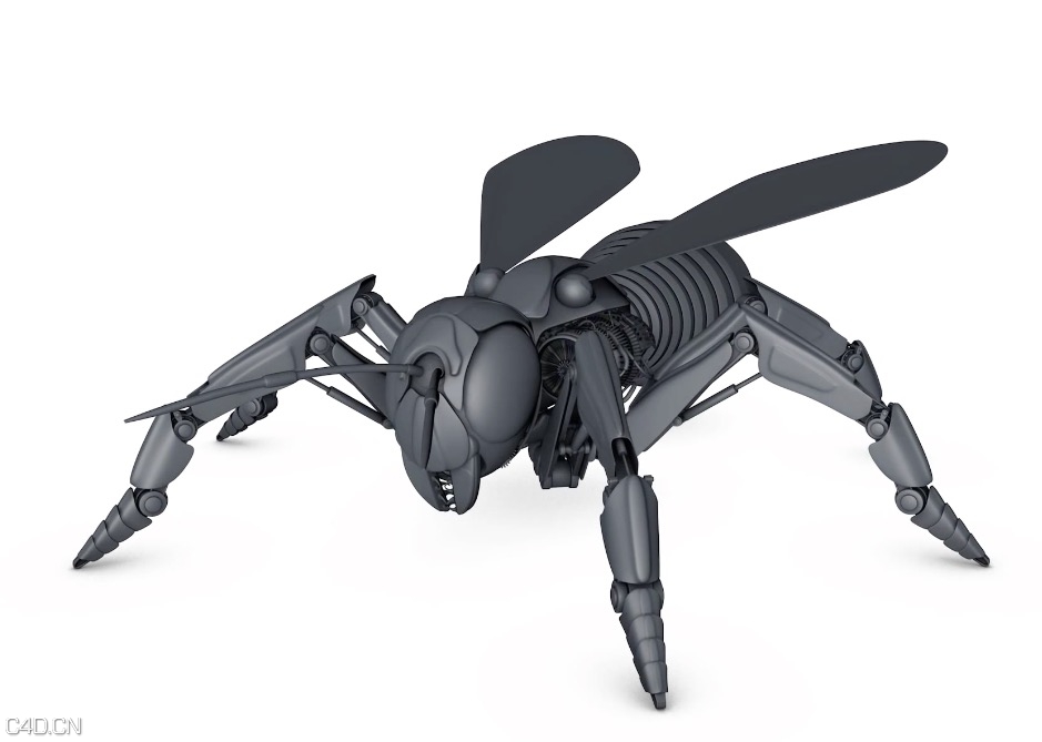 C4D机械黄蜂建模视频教程（共10集）Cinema 4D Mechanical wasp modeling video