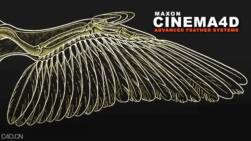 C4D实用进阶羽毛系统讲解教程 cmiVFX - Cinema 4D Advanced Feather Systems