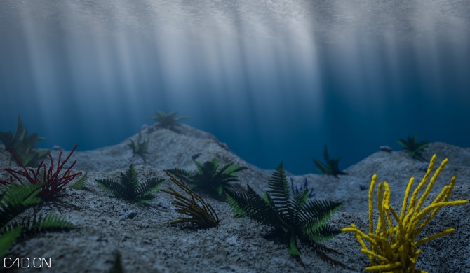 海底世界C4D模型 Under the sea