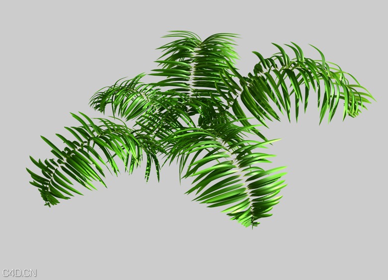 C4D发毛动画工程（草地、头发）C4D hair animation - C4D之家 - cinema4d_ 2016-04-23 11.18.02.jpg