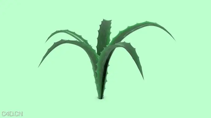 C4D芦荟建模贴图生长动画教程 ALOE VERA PLANT TUTORIAL