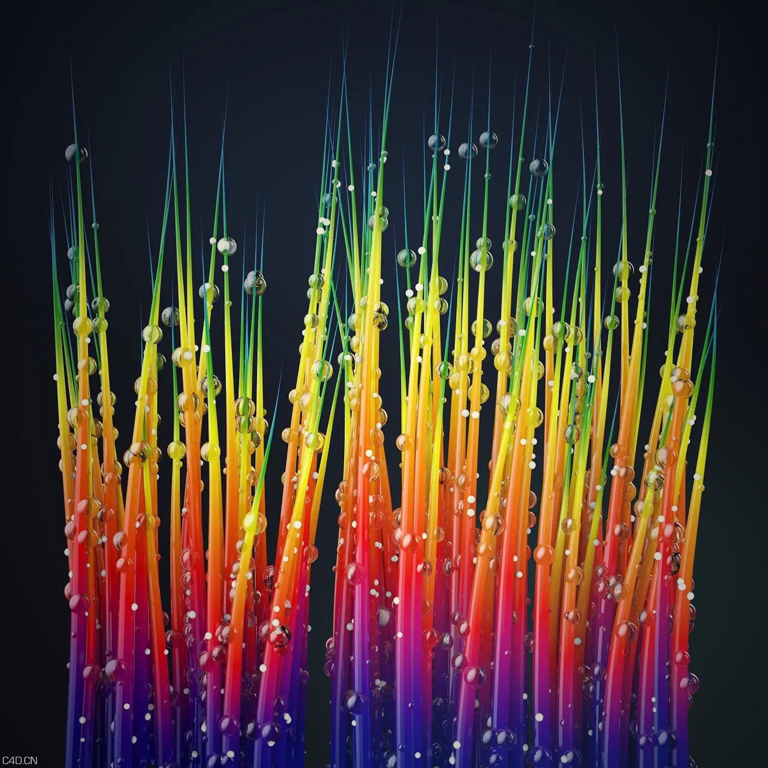 C4D渲染绚丽多彩挂满水珠彩虹草地教程 Making My Everyday Render Rainbow Wet Grass - C4D之家 - XpartGrass3.jpg