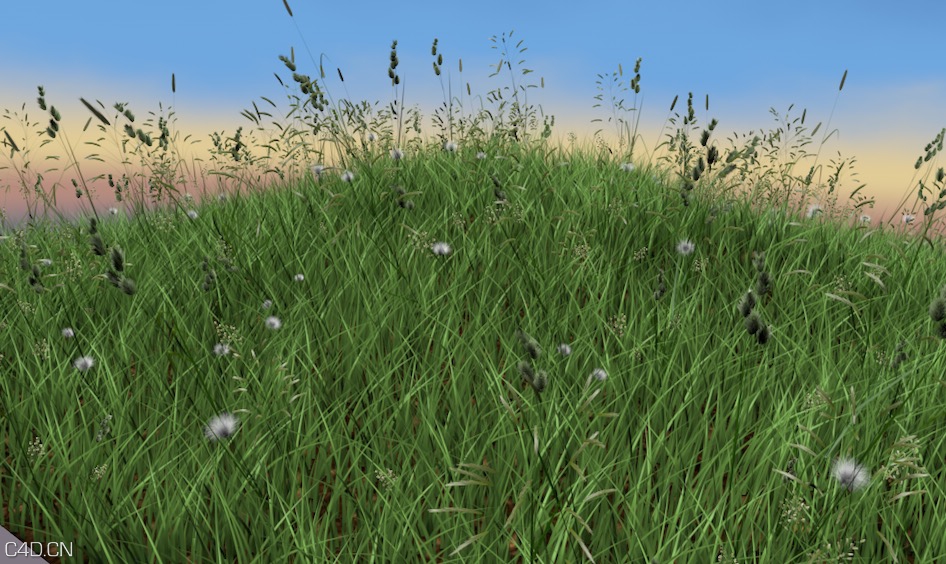 C4D草地模型 C4D News Grass Pack - C4D之家 - cinema4d_ 2016-05-02 18.08.17.jpg