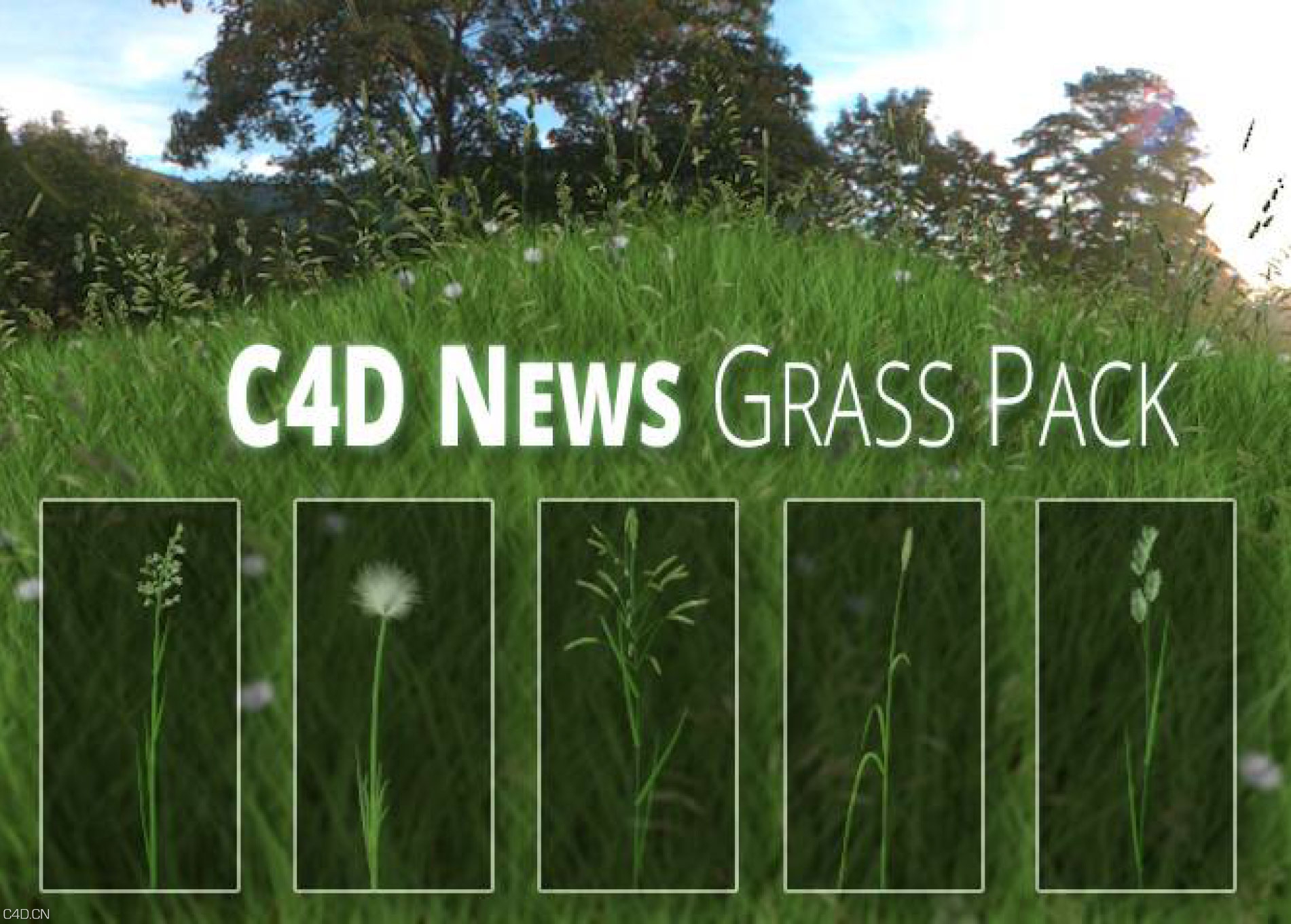 C4D草地模型 C4D News Grass Pack - C4D之家 - Readme.jpg