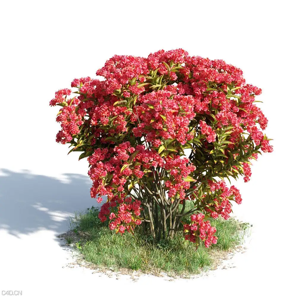 植物树木3D模型 Archmodels Vol.154 – Plants - C4D之家 - Archmodels-Vol.154.jpg