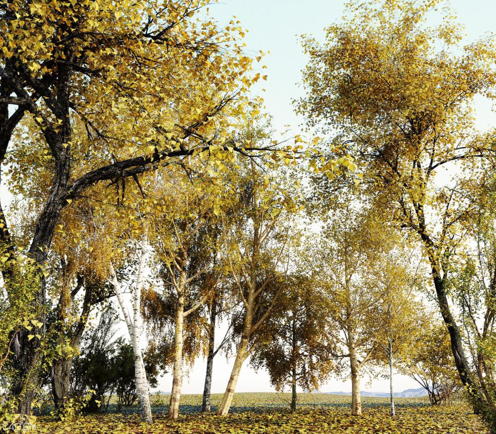 秋天黄叶大树3D模型合集 R-D iTrees vol. 1 Autumn