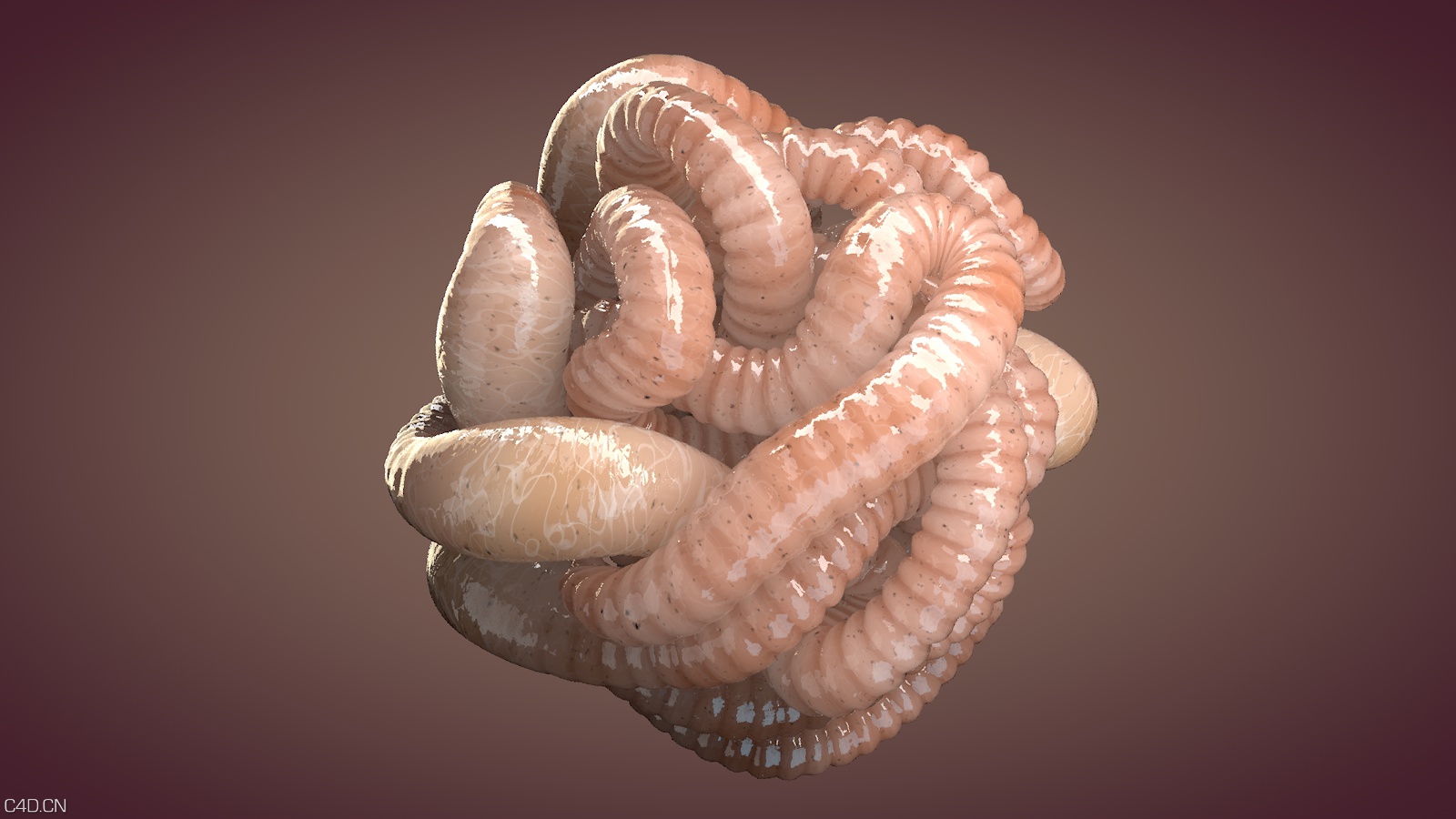 C4D中制作粘糊糊的肠子动画视频教程 Making Some Slimy Guts in Cinema 4D - C4D之家 - Guts3_0037.jpg