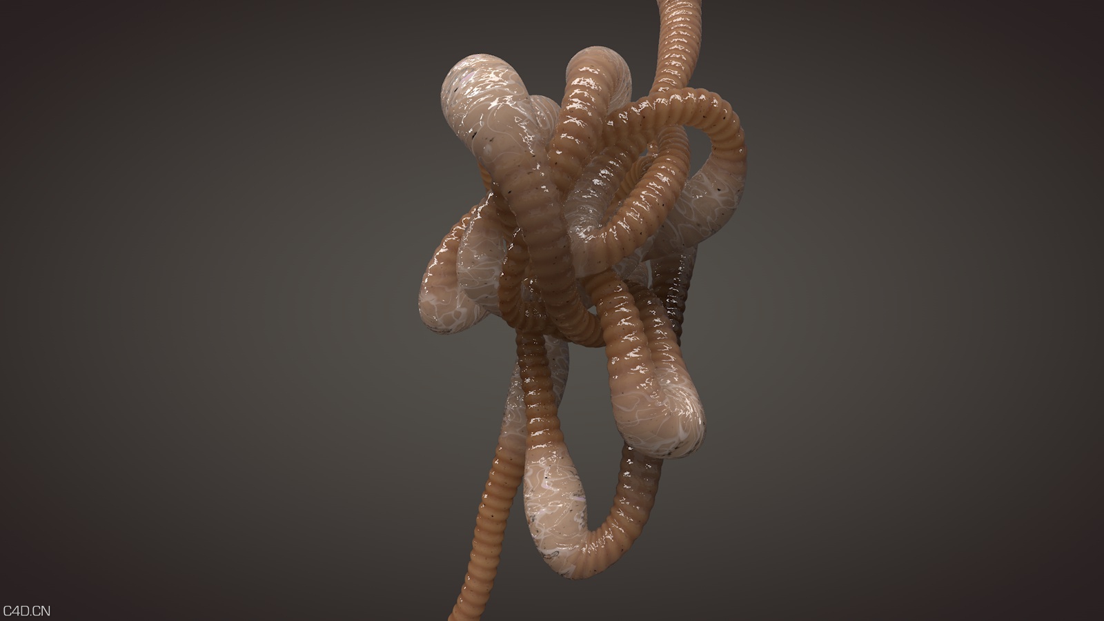 C4D中制作粘糊糊的肠子动画视频教程 Making Some Slimy Guts in Cinema 4D